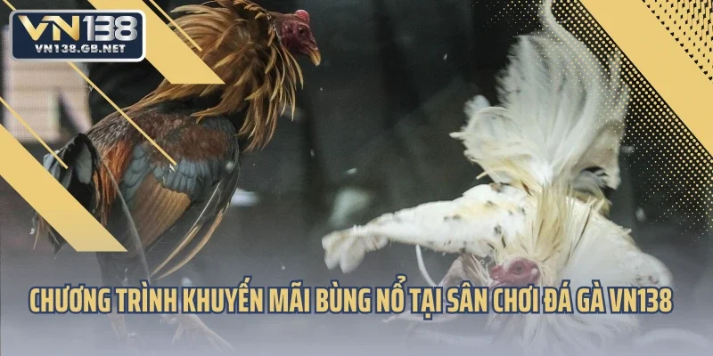 Chương trình khuyến mãi bùng nổ tại sân chơi đá gà VN138