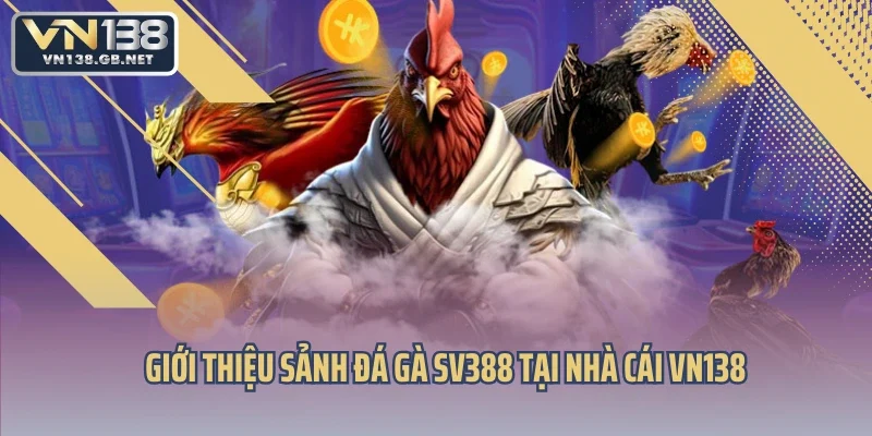 Giới thiệu sảnh đá gà SV388 tại nhà cái VN138