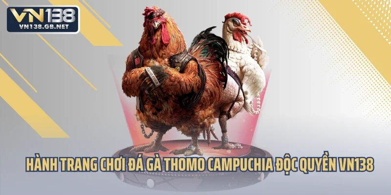 Hành trang chơi đá gà thomo Campuchia độc quyền VN138