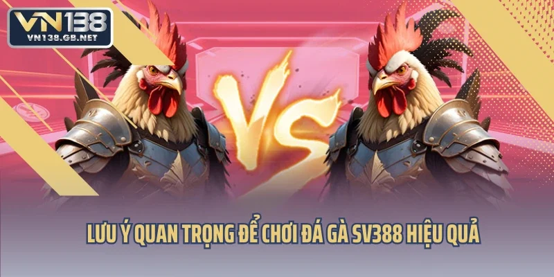 Lưu ý quan trọng để chơi đá gà SV388 hiệu quả