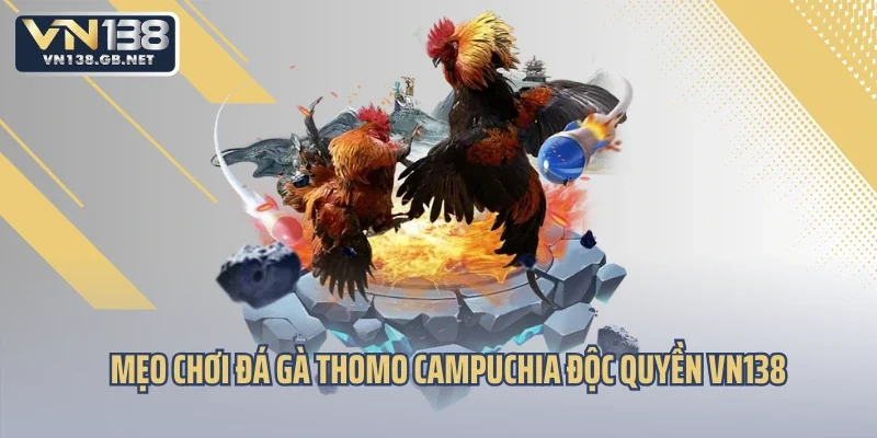 Mẹo chơi đá gà thomo Campuchia độc quyền VN138